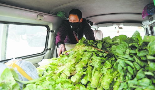 成都菜籃子供應充足，新鮮蔬菜零售穩定