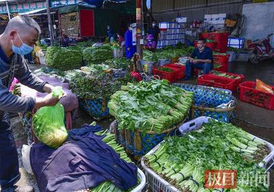 運輸目錄外蔬菜來漢免收通行費，《鮮活農(nóng)產(chǎn)品品種目錄》適用范圍淺析