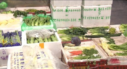 宅家買菜不用怕 浙江各地全力保障“菜籃子”供應 新鮮蔬菜批發(fā)