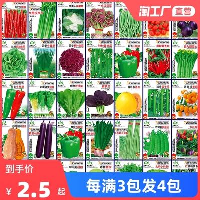 家庭種植新風尚 以1.5元的價格開啟你的四季菜園