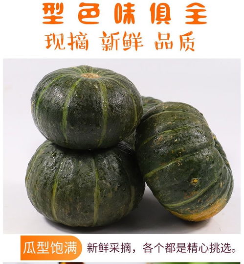 黃金小南瓜 從田間到餐桌的營養(yǎng)美味之旅