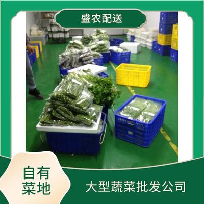 東莞蔬菜配送服務 確保新鮮蔬菜批發直達餐桌