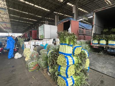 春菜大量上市!溫州人的餐桌"春意盎然"